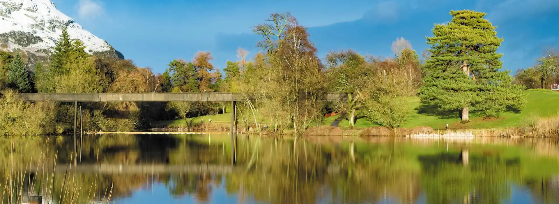 Bridge of Allan campsites