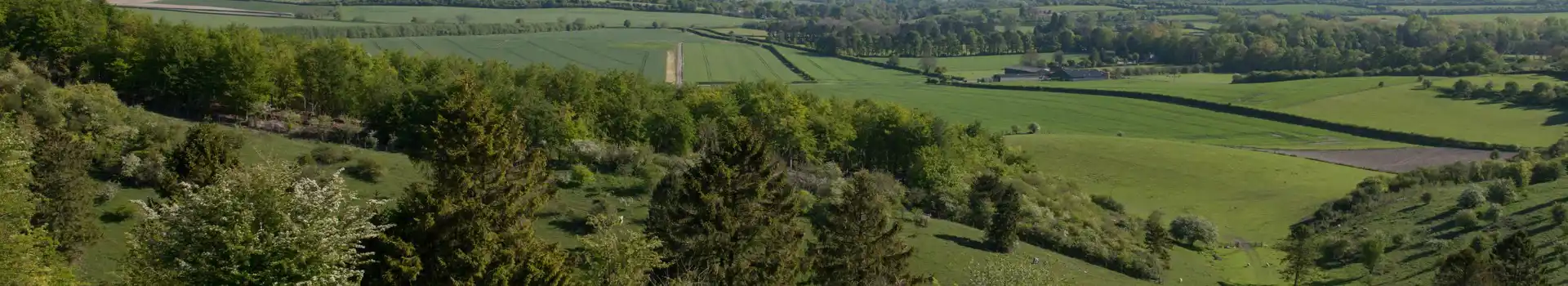 Kingsclere campsites