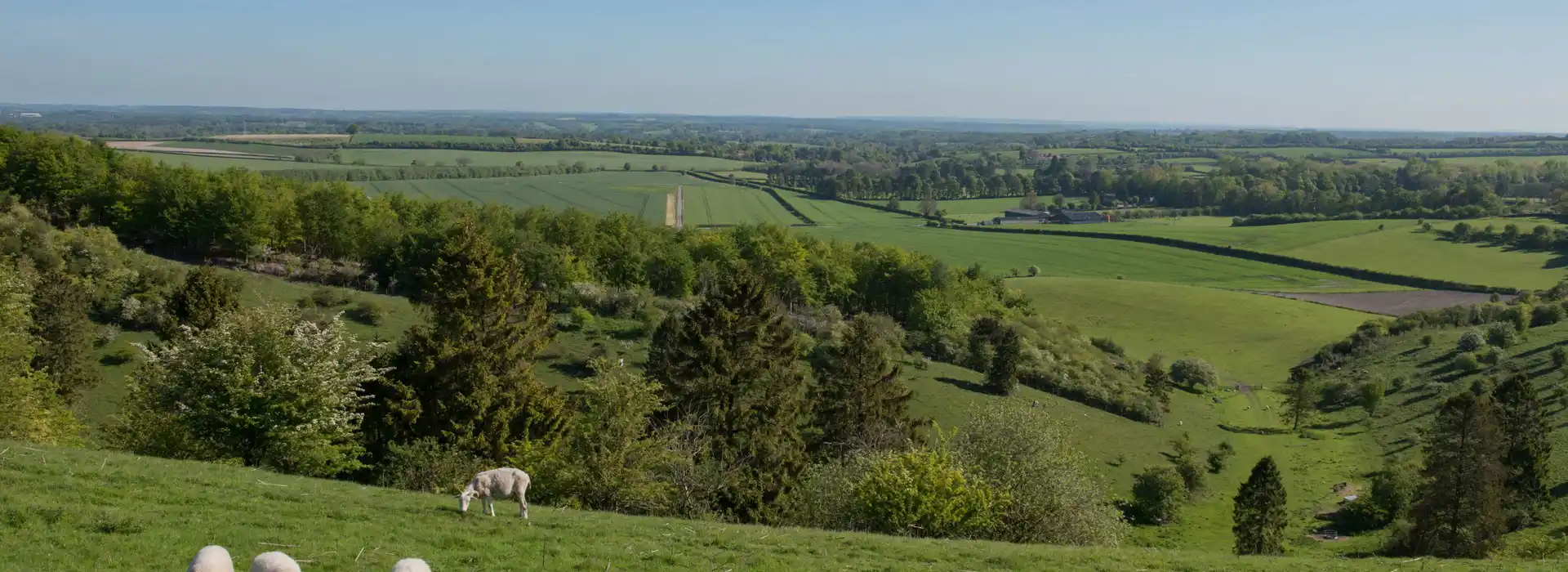 Kingsclere campsites