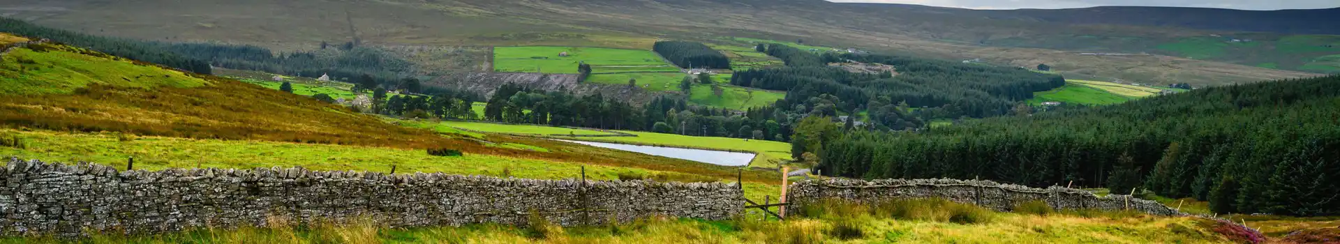 Allenheads campsites