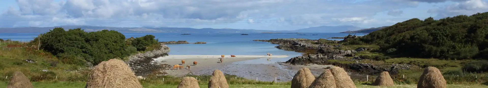 Back of Kennoch campsites