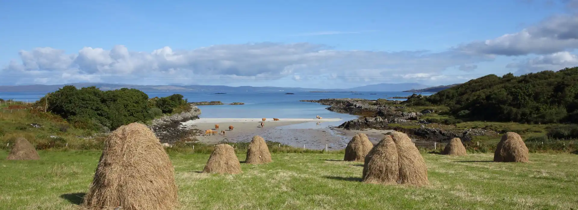 Back of Kennoch campsites