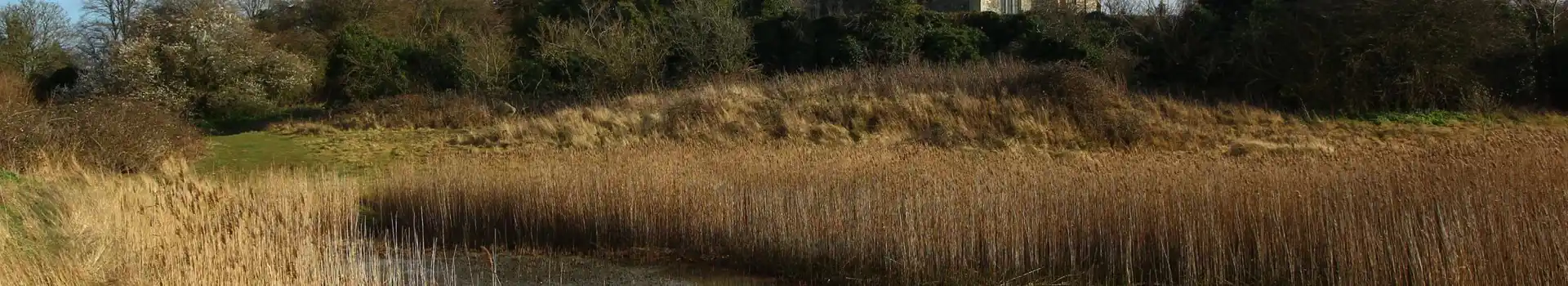 Blythburgh campsites
