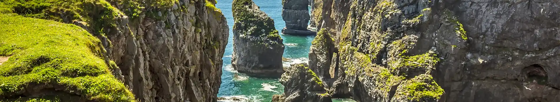 Castlemartin campsites