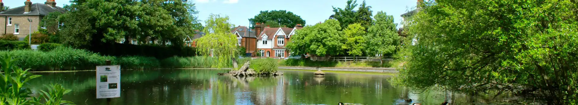 Chislehurst campsites