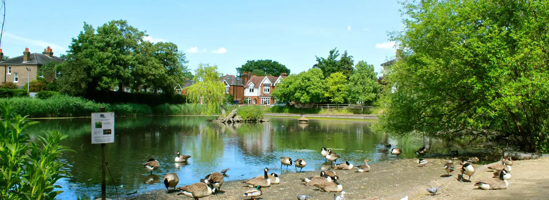 Chislehurst campsites