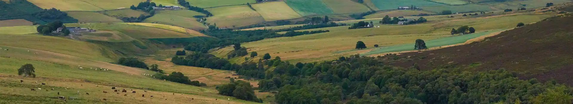 Dufftown campsites