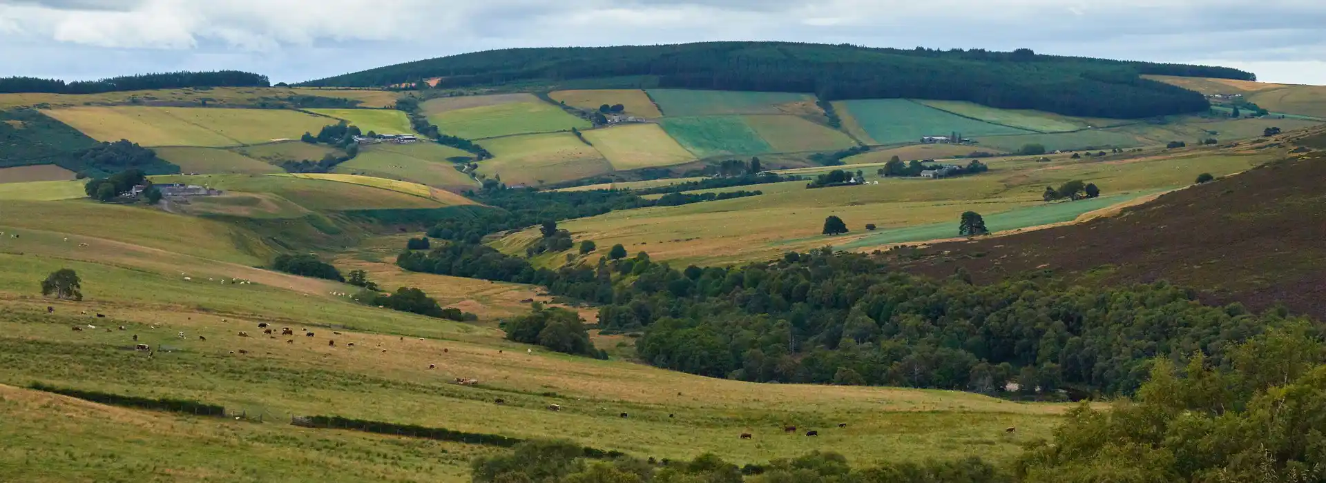 Dufftown campsites