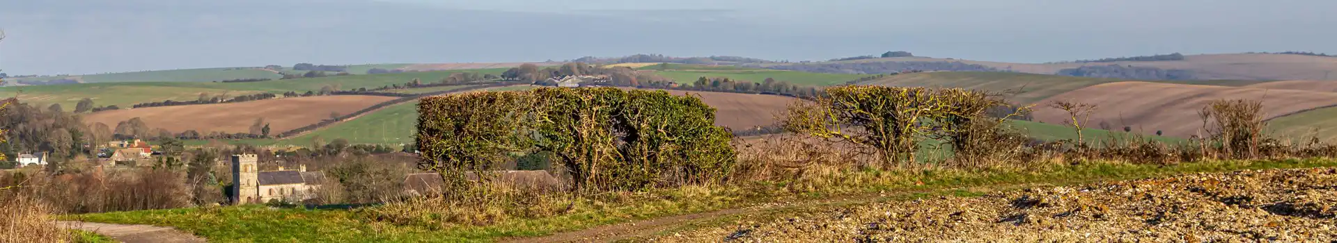 Falmer campsites