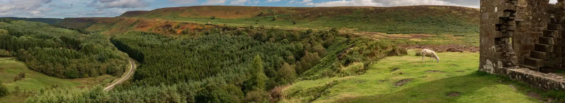 Skelton campsites