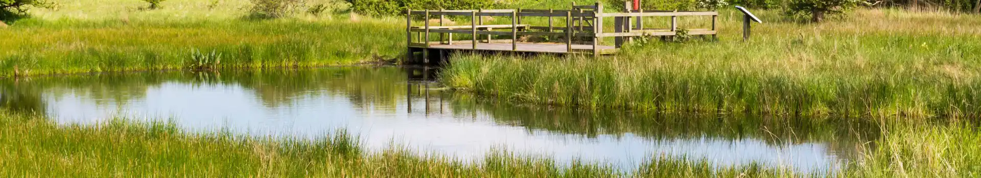 Theddlethorpe campsites