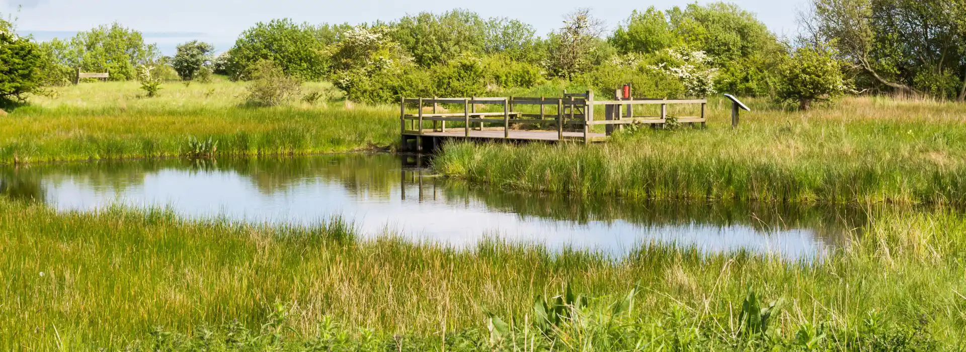 Theddlethorpe campsites