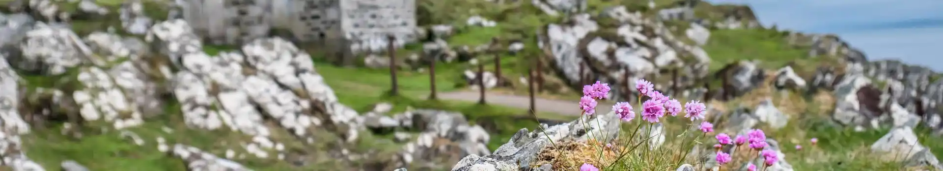 Portavadie campsites