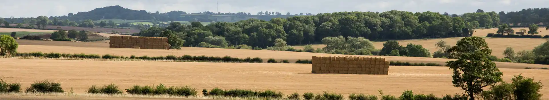 Little Stretton campsites