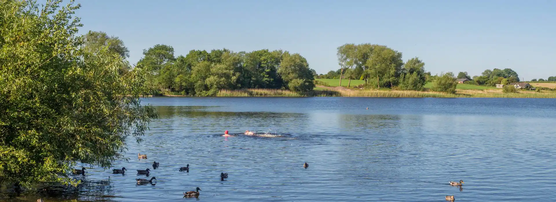 Pickmere campsites