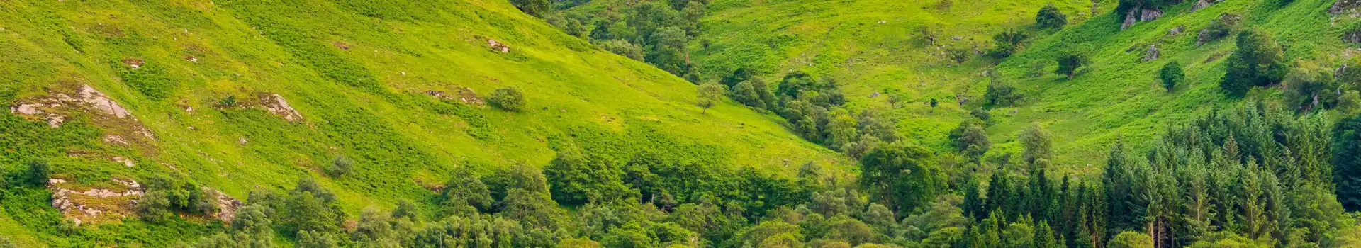 St Fillans campsites