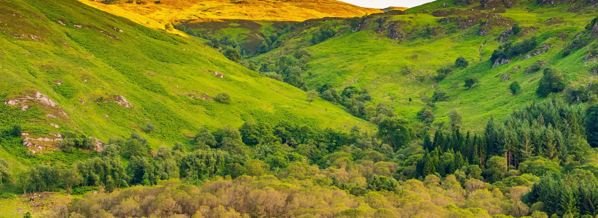 St Fillans campsites