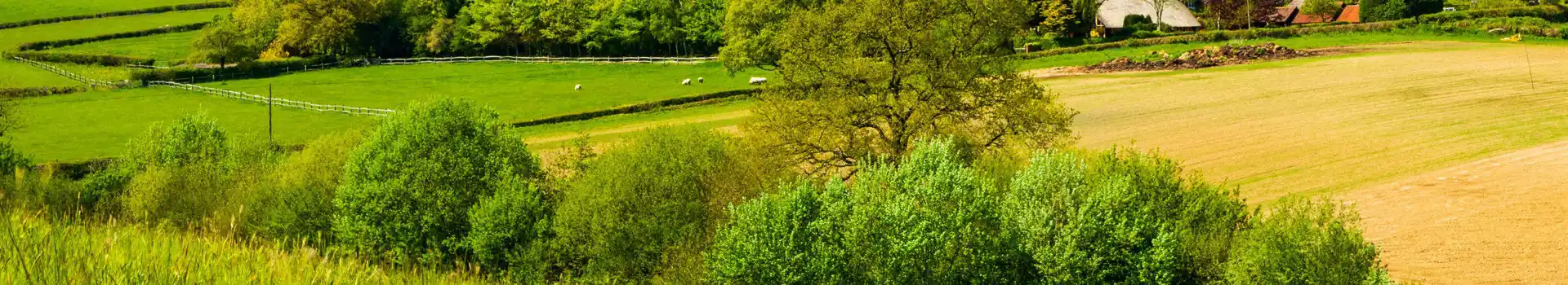 Staplehurst campsites