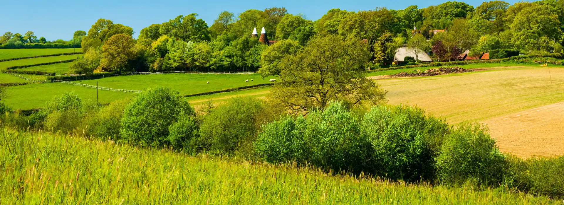 Staplehurst campsites