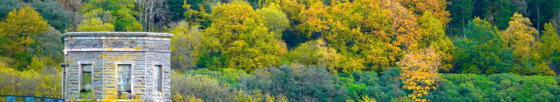 Tal-y-bont campsites