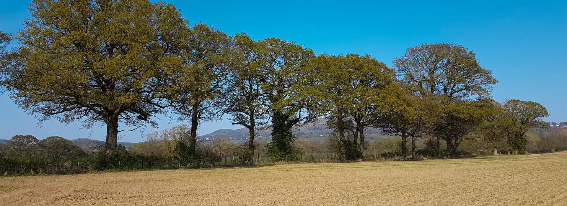 Colwall campsites Colwall campsites