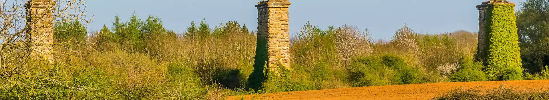 Hook Norton campsites