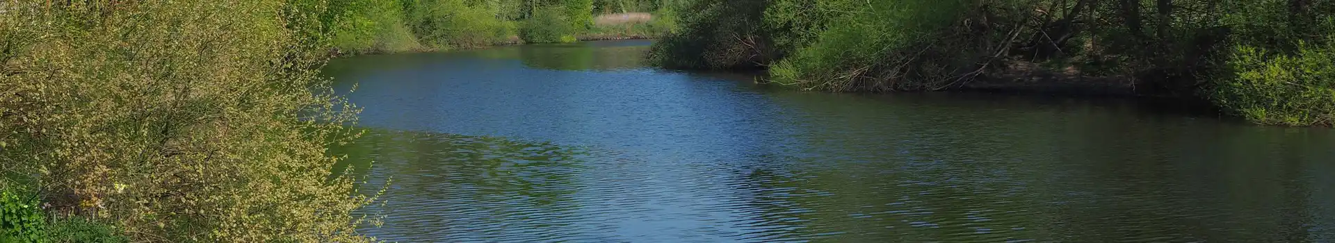 Bishopthorpe campsites