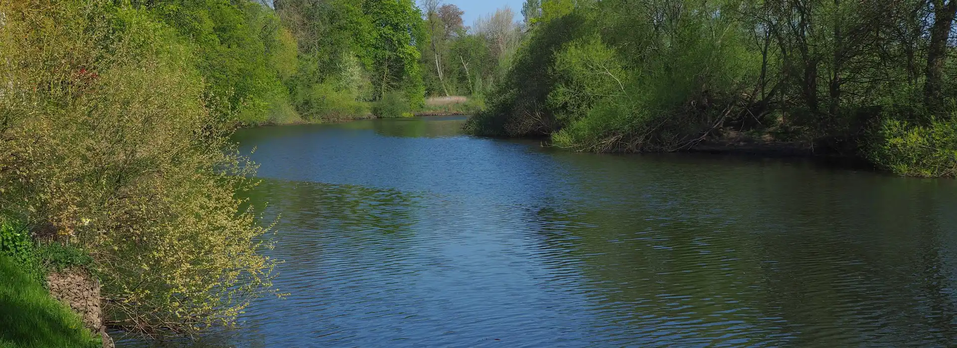 Bishopthorpe campsites