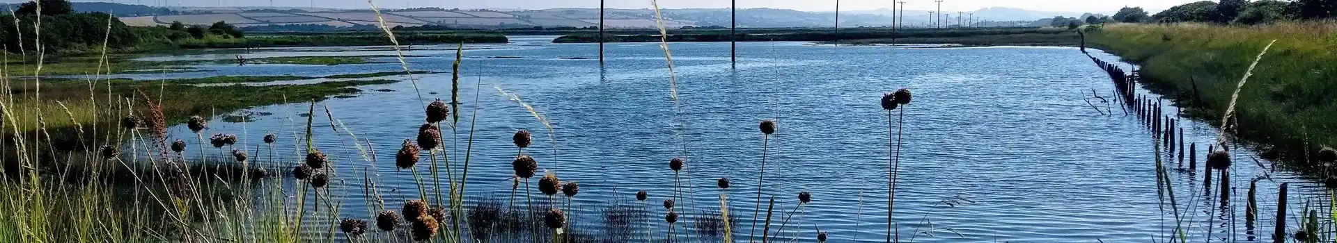 Yelland campsites