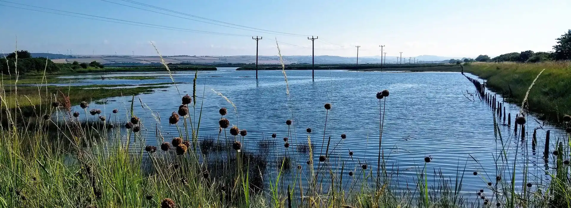 Yelland campsites