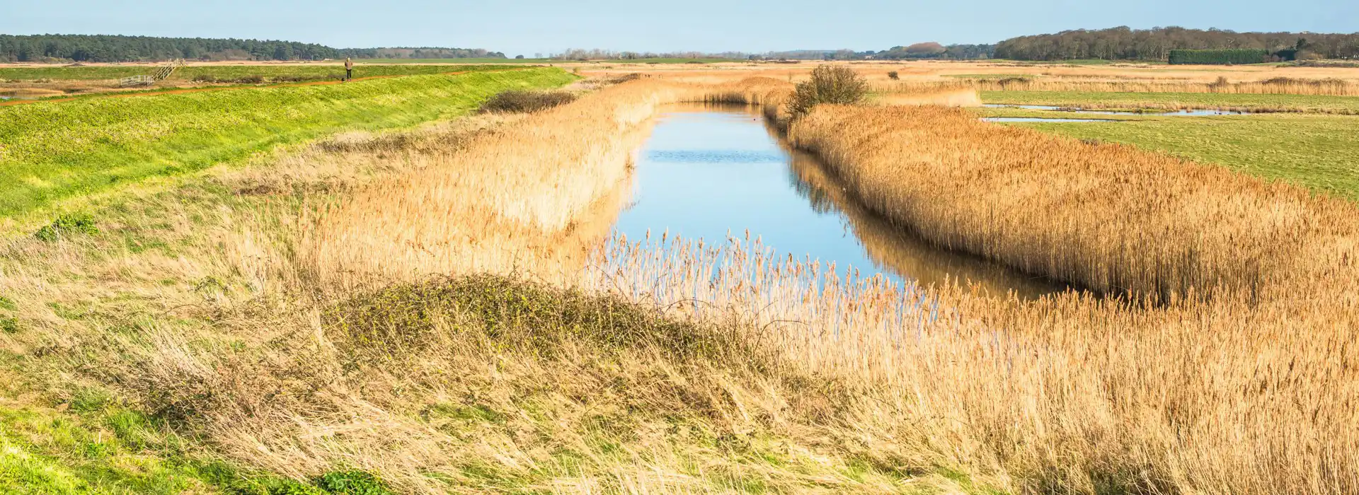 Burnham Norton campsites