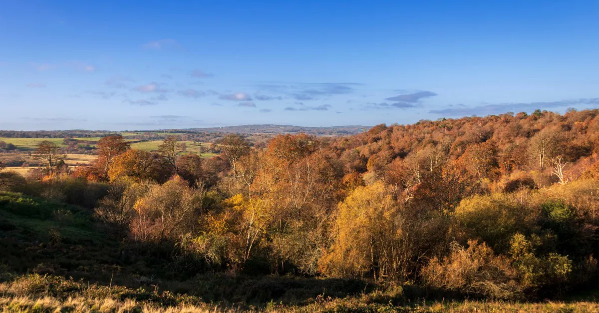 15+ Frant campsites - Best sites for camping in Frant, Sussex