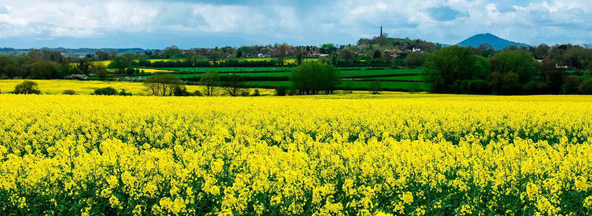 Lilleshall campsites