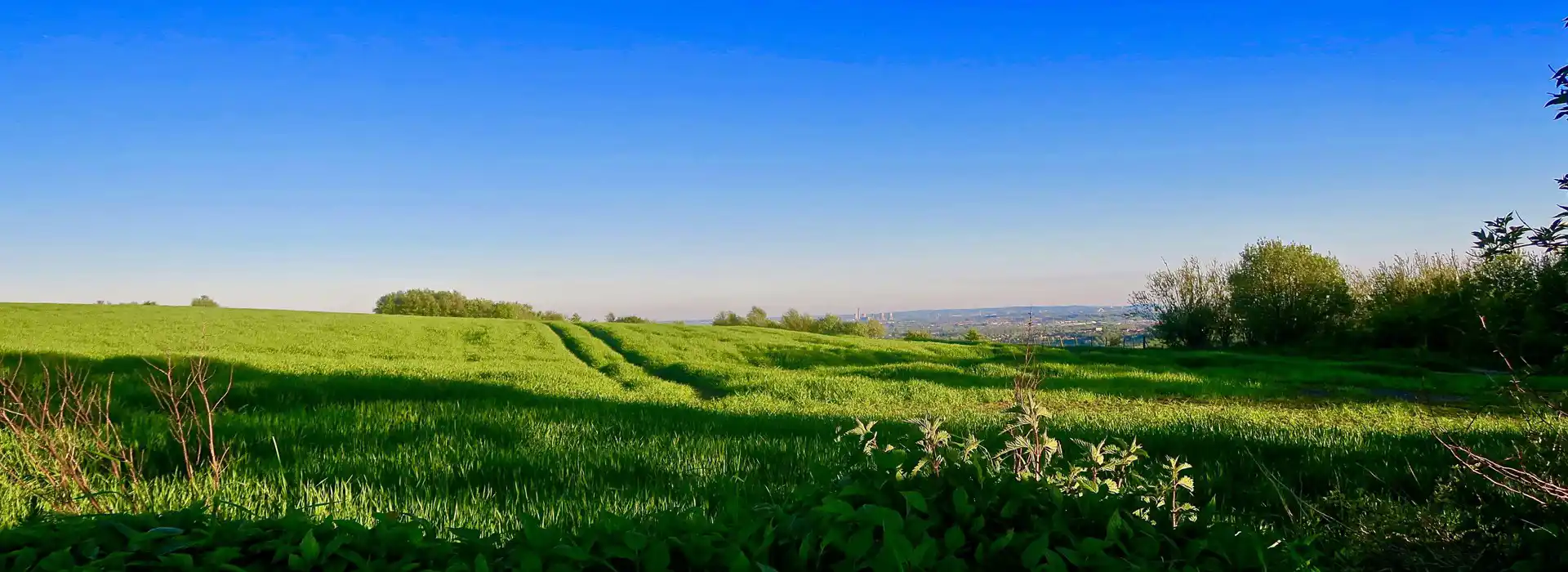 Billinge campsites