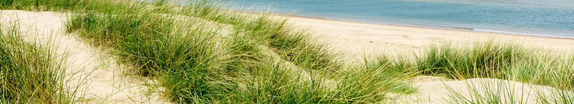 Burnham Overy campsites