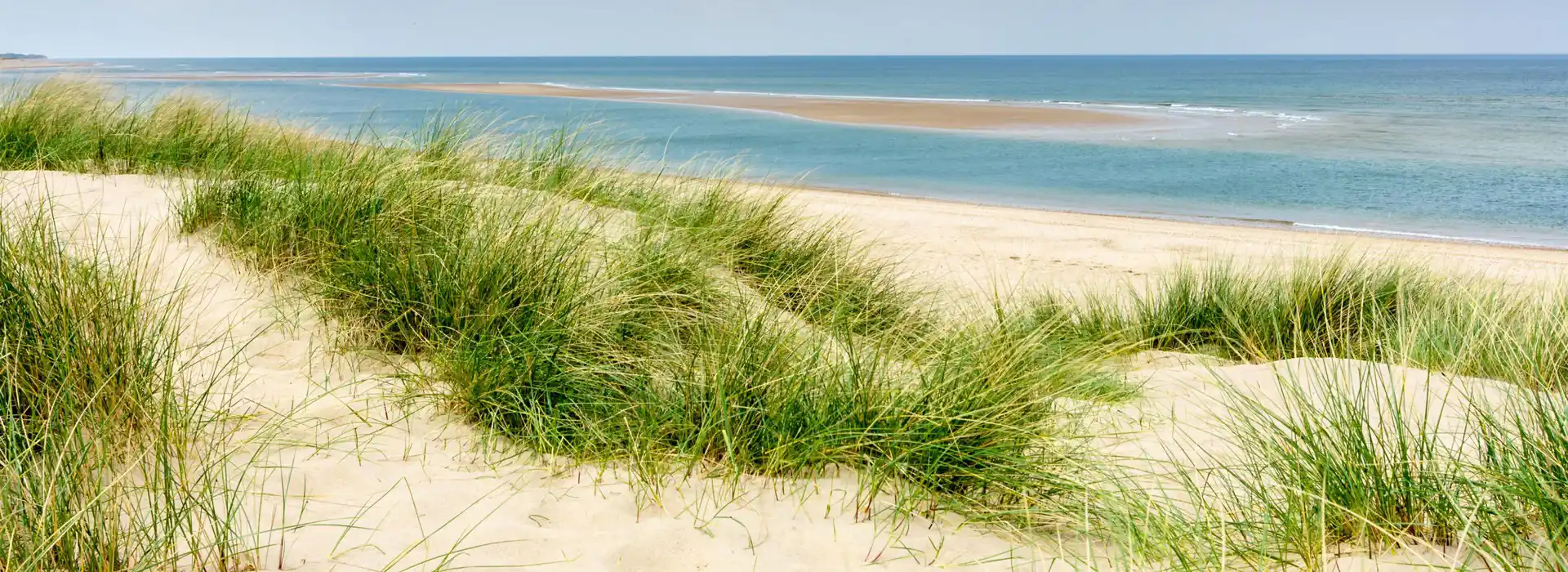 Burnham Overy campsites