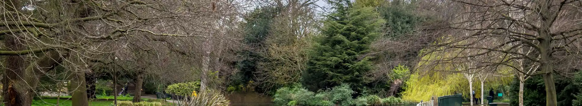 Carshalton campsites