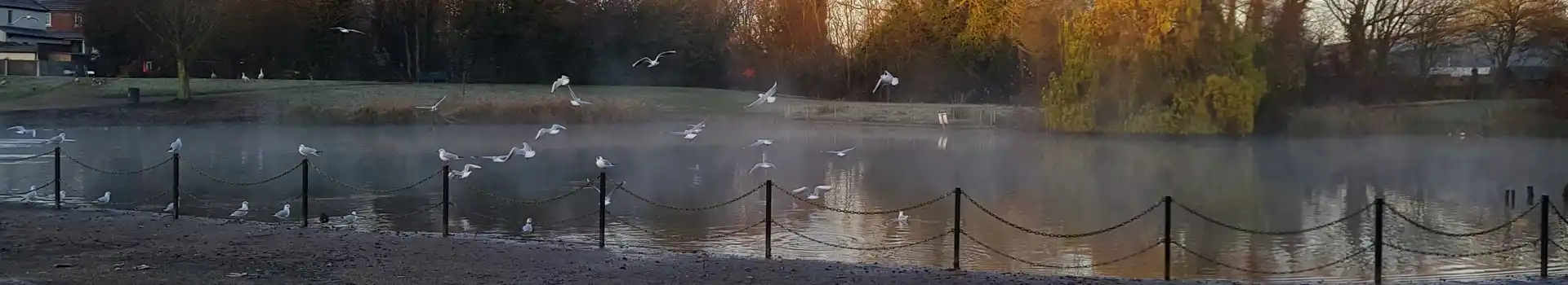 Kingswinford campsites