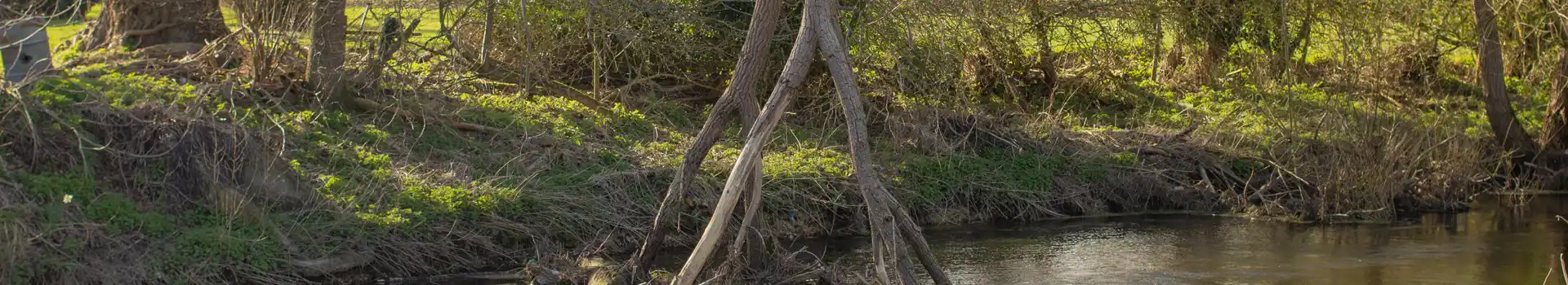 Santon Downham campsites