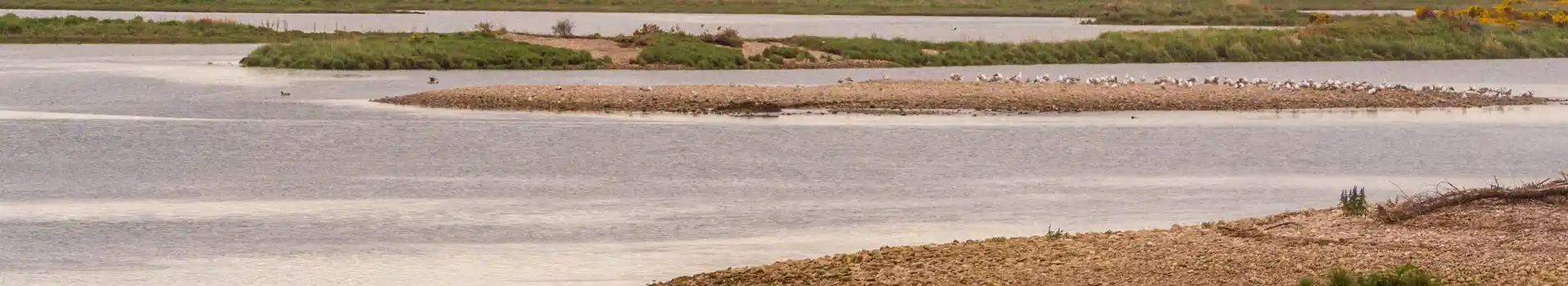 Spey Bay campsites
