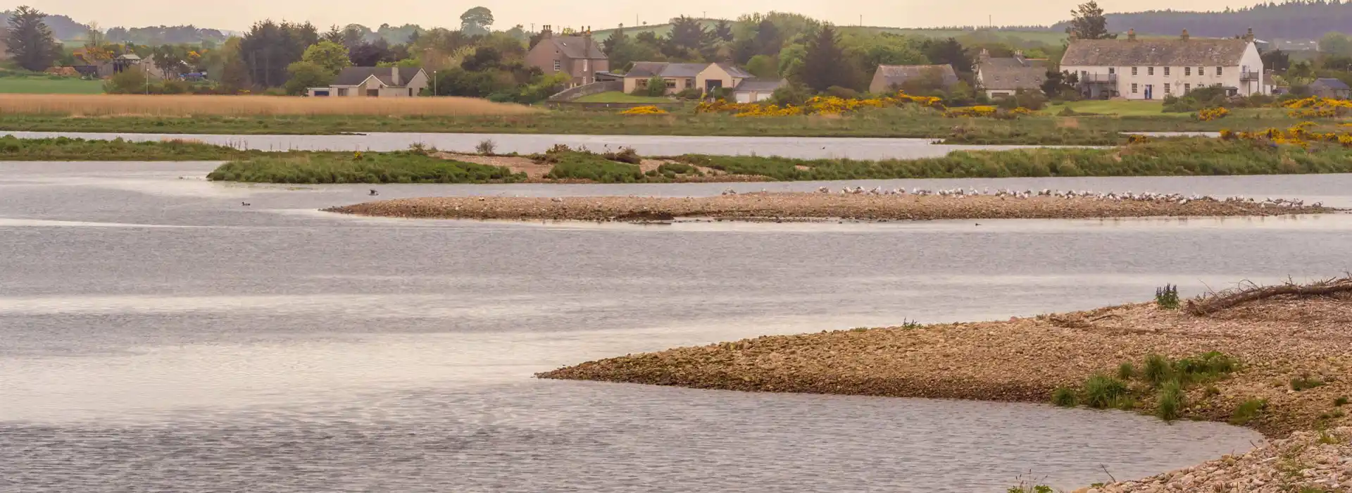 Spey Bay campsites