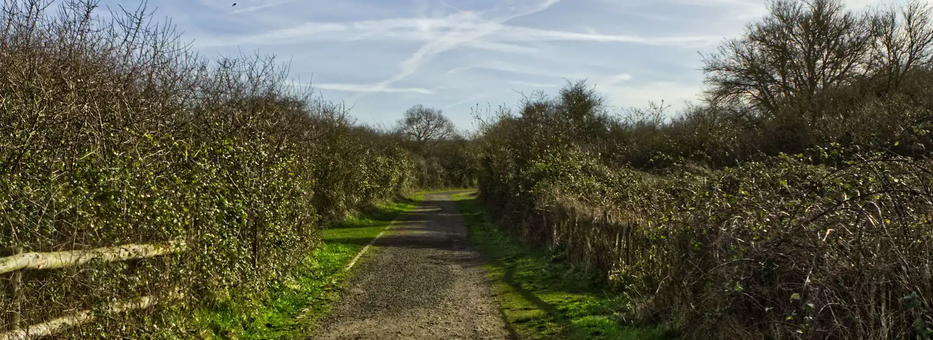 Wrabness campsites