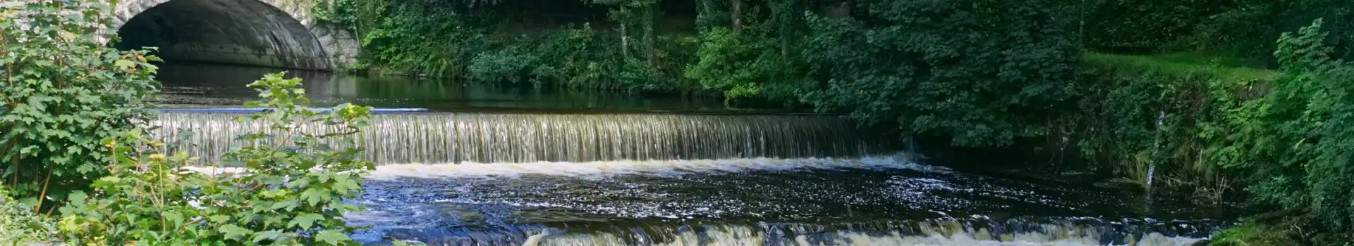 Tavistock campsites