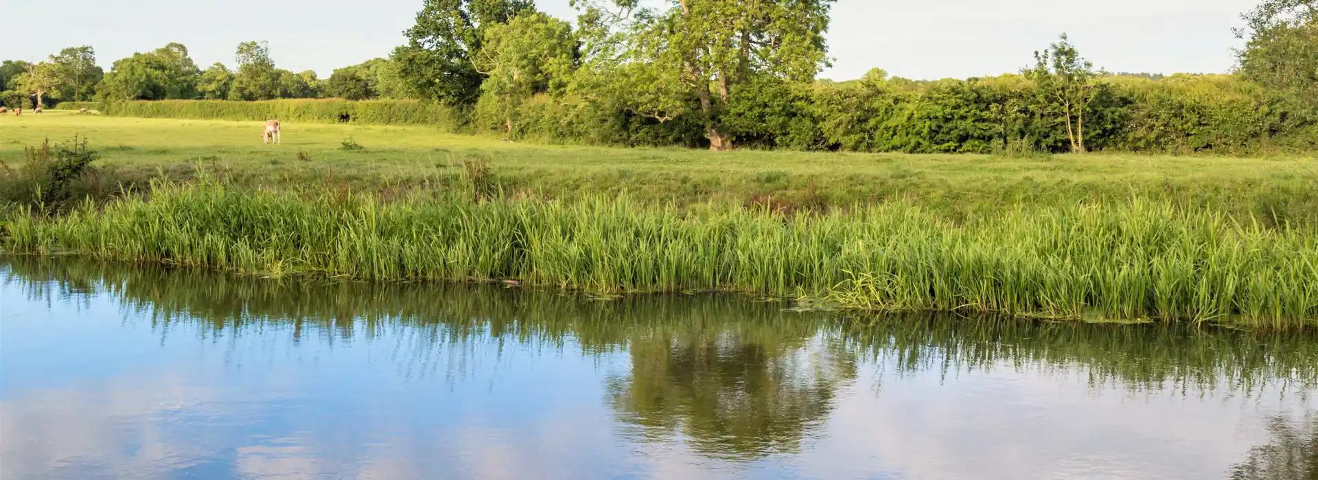 Barcombe Mills