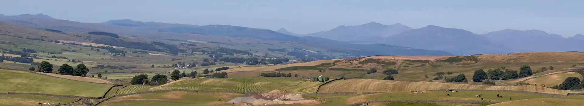 Cerrigydrudion campsites