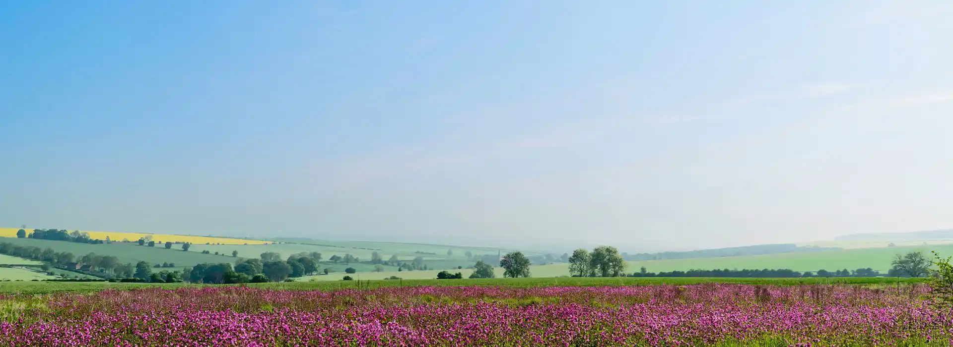 Sledmere campsites