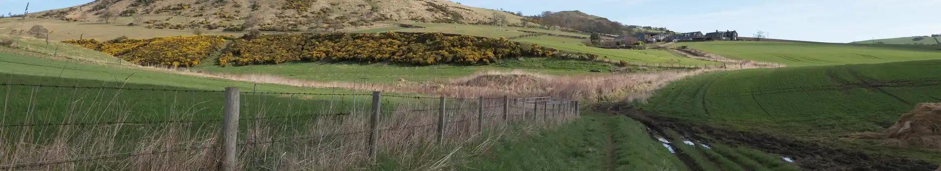 Upper Largo campsites