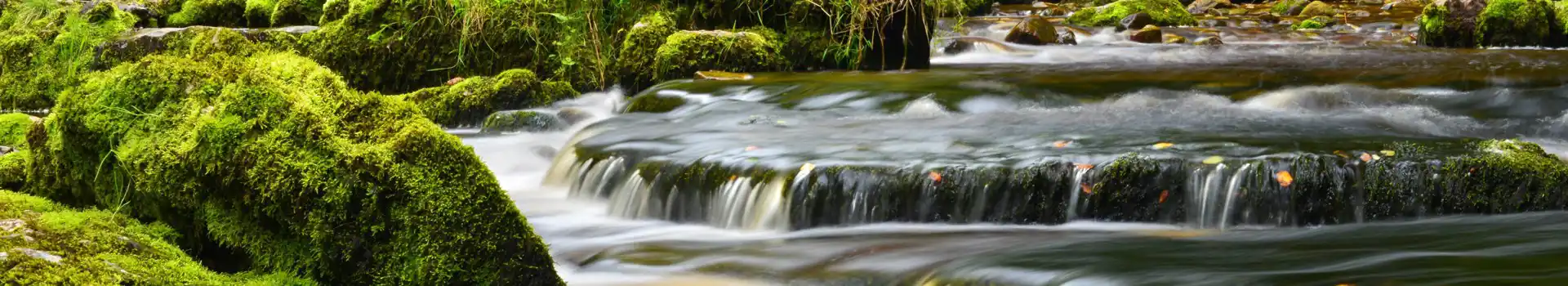 West Burton campsites