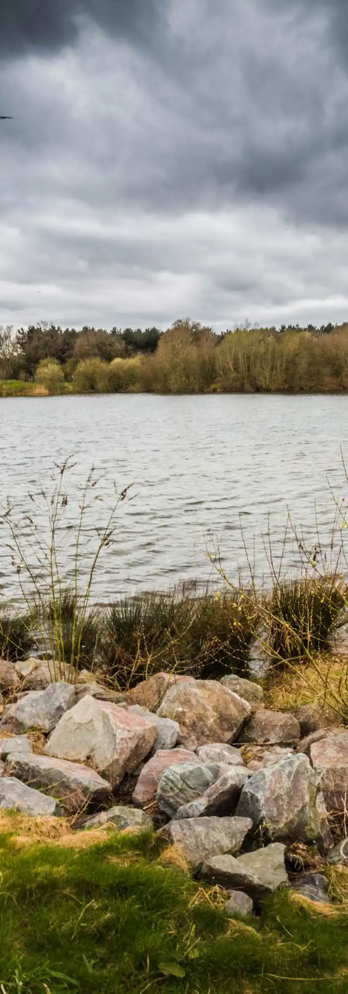 7 BartonunderNeedwood campsites Best camping in Bartonunder