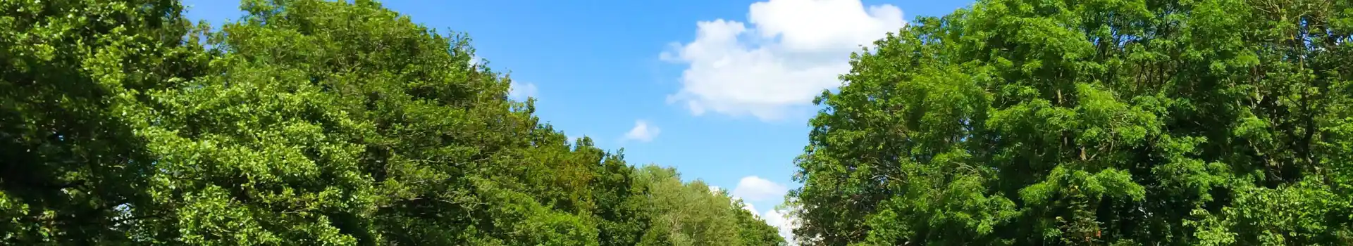 Bathampton campsites